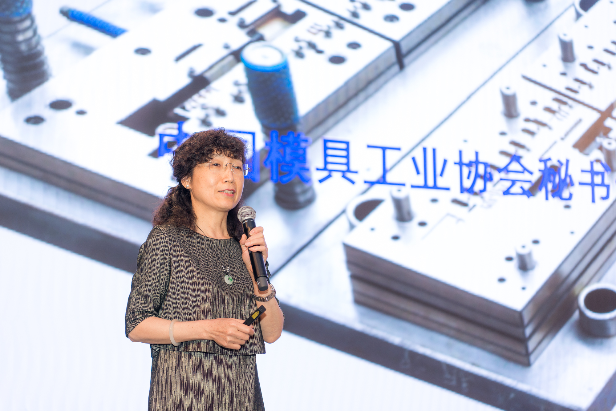 模具研討|“智造”落地，思瑞三坐標(biāo)助力“數(shù)字北侖”建設(shè)(圖2)